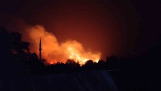 Tokatta yıldırım düşen ekili tarla yandı