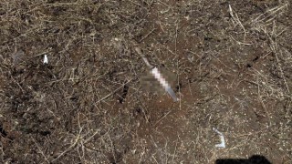 Trafikteki tartışma bıçaklı, silahlı kavgaya dönüştü: 5 yaralı