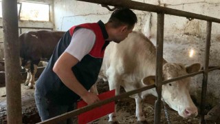 Trakyada kurban kesim ve satış alanlarında denetleniyor