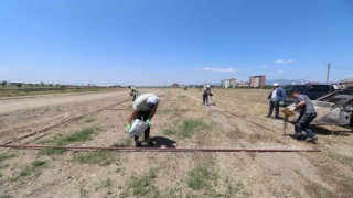 Turgutluda Kurban Bayramı için hummalı hazırlık