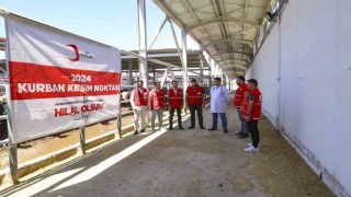 Türk Kızılayı yurtta ve 19 ülkede kurban kesimlerine başladı