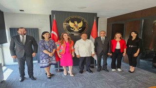 Türkiye ile Endonezya arasında sağlık turizmi alanında işbirliği