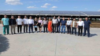 Türkiyede yılda 21 milyon ton süt üretiliyor