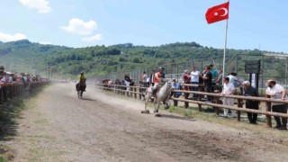 Ünyede rahvan at yarışı heyecanı