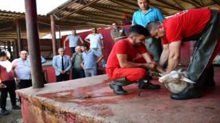 Uygulamalı kurban kesim kursu