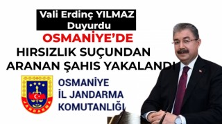 Vali Erdinç Yılmaz: 5 yıl kesinleşmiş cezası bulunan şahıs yakalandı
