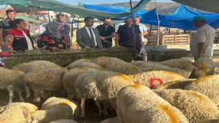 Vali İlhami Aktaş, Canlı Hayvan Pazarı ve Cuma Pazarında incelemelerde bulundu