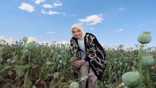 Vali kentin simgesi ‘haşhaş ile poz verdi