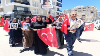 Vanlı ailelerin evlat nöbeti 81inci haftasına girdi