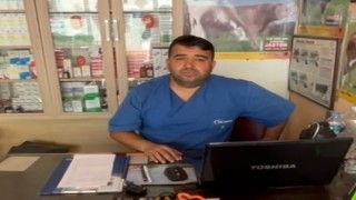 Vatandaş haşere ile mücadelede isyan etti