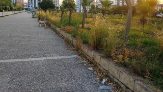 Vatandaşlardan Çevre Haftasında Temizlik Talebi