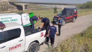 Viyadükte erkek cesedi bulundu