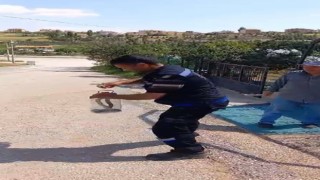 Yakaladığı yılanı pet şişeye koydu, doğaya saldı