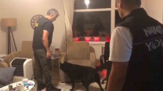 Yalovada uyuşturucu operasyonlarında: 1 tutuklama