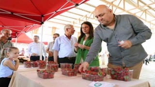 Yatağanda ‘Çilek festivali
