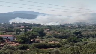 Yatağanda sazlık alanda yangın