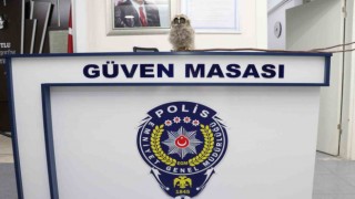 Yavru puhuya polisten “güven” mesajı