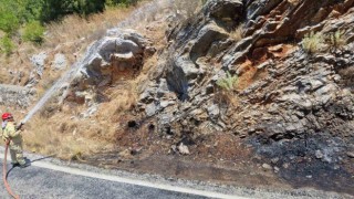 Yol kenarındaki yangın ormana sıçramadan söndürüldü