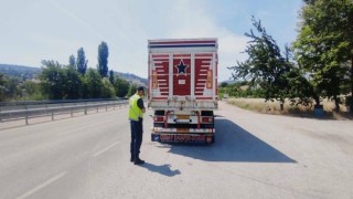 Yük taşıyan araçlara denetim