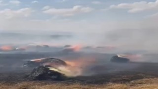 Yüksekovada çıkan arazi yangını korkuttu