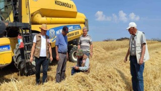 Yüzde 75 hibe destekli arpa hasadı başladı