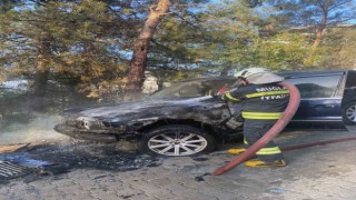 Zamanında müdahale orman yangınını önledi