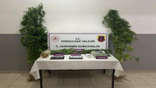 Zonguldakta uyuşturucu operasyonunda 1 tutuklama