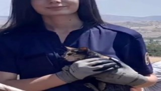10 metrelik su kuyusuna düşen kedi kurtarıldı