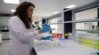 100.Yıl Gıda Analiz Laboratuvarı Zeytin ve Bal analizlerine başladı