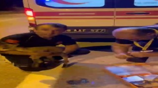 112 ekipleri bu kez yaralı yavru yaban keçisine müdahale etti