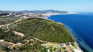 116 dönüm deniz manzaralı orman ihalesine en yüksek fiyat özel sektörden