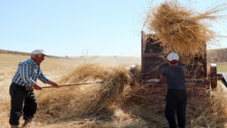 36 derece sıcakta kışlık yem mücadelesi