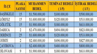 8 ilçede 86 yeni T plaka için ihale yapılacak