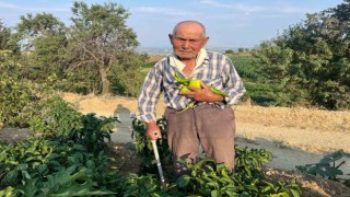 88 yaşında üretmeye devam ediyor