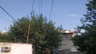 Ağaca Temas Eden Elektrik Telleri Tehlike Saçıyor