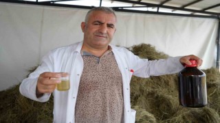 Ağrı Dağı eteklerinden kozmetik sanayisine