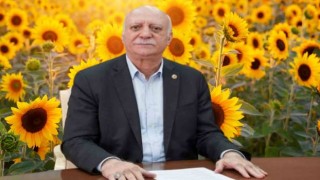 Akdeniz Bölgesinde Ayçiçeği Hasadı Yüzleri Güldürmedi