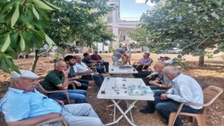 Akdeniz meyve sineğinin zararları anlatıldı