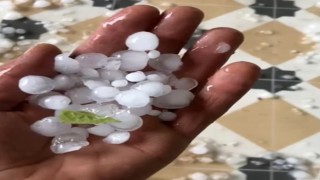 Akhisarda etkili olan dolu yağışı ürünlere zarar verdi