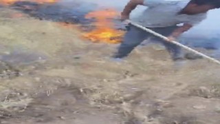 Aksarayda anız yangını ormanlık alana sıçradı