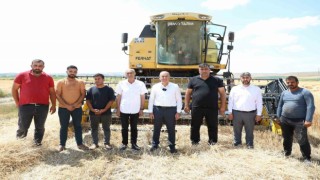 Alacada hasat dönemi başladı