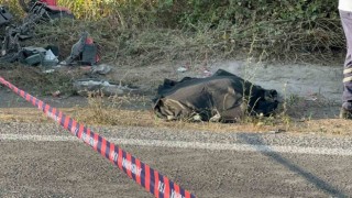 Alaplıda motosiklet sürücüsü kamyonun altında kaldı: 1 ölü