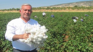 Altun, Fıratın suyu Gaziantep sanayisi ile buluşuyor
