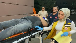 Aniden yola çıkan köpek kazaya neden oldu: 1 yaralı