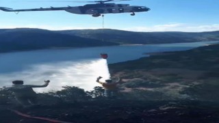 Ankaradaki orman yangını kontrol altına alındı