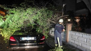 Antalya Büyükşehirden fırtınaya hızlı müdahale