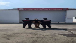 Antalyada çocuğu kasten öldürmek suçundan 33 yıl hapis cezasıyla aranan şahıs yakalandı