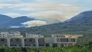 Antalyada orman yangını