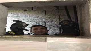 Apartman boşluğuna düşen kuşları itfaiye ekipleri kurtardı