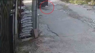Aracın, su içen kediyi ezdiği anlar kamerada